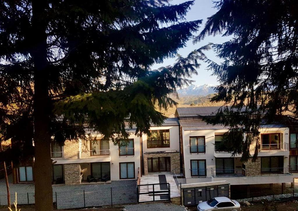 Appartamento R&R Vibes Villa La Angostura Esterno foto